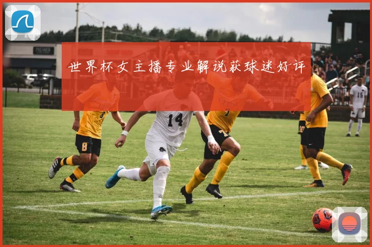 世界杯女主播专业解说获球迷好评