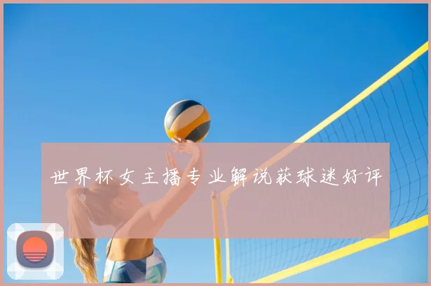 世界杯女主播专业解说获球迷好评
