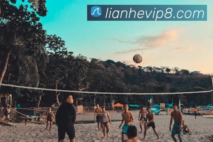 世界杯官方网络平台服务体系